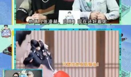 狗仔爆料白鹿最新视频,狗仔爆料揭秘幕后故事